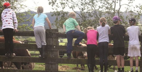 Ashmar Farm Stay - Accommodation Georgetown 4