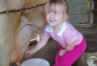 Ashmar Farm Stay - Accommodation Georgetown 5