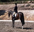 Apptrak Stud - Accommodation Georgetown