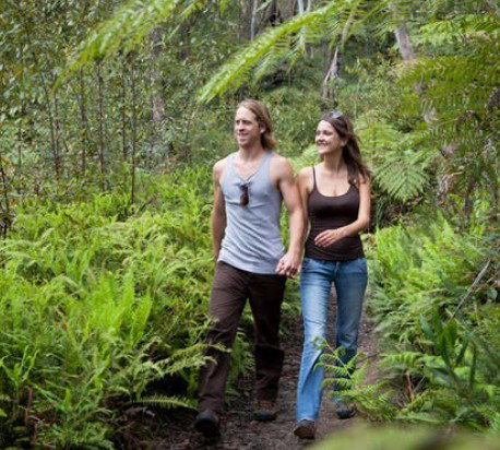 Blackheath Glen Tourist Park - Accommodation Georgetown 0