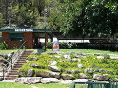 Carinya Ski Ranch - Accommodation Georgetown 4