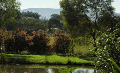 Amazing Country Escapes - Evanslea By The River - Accommodation Georgetown 4