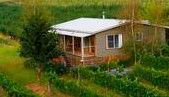 Borrodell Vineyard - Accommodation - Accommodation Georgetown 0