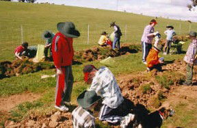 Banderra B And B Farmstay - Accommodation Georgetown 0