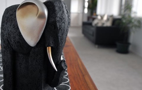 Alexandra Apartments - Accommodation Georgetown 0