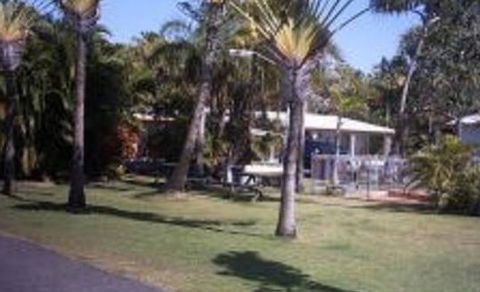 Kinka Palms Beachfront Apartments / Motel - Accommodation Georgetown 2