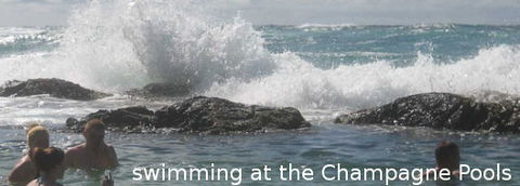 Fraser Island Fishing Units - Accommodation Georgetown 4