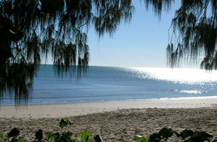 Scarness Beachfront Tourist Park - Accommodation Georgetown 1