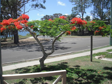 Kingfisher Caravan Park - Accommodation Georgetown 4