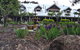 Girraween Country Inn - thumb 4