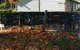 Girraween Country Inn - thumb 5