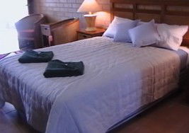 Stanthorpe Top Of The Town Tourist Park - Accommodation Georgetown 1