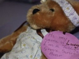 Twilight Grove Farm Bed And Breakfast  - Accommodation Georgetown 1