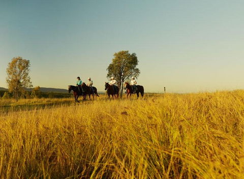 Spicers Hidden Vale - Accommodation Georgetown 1