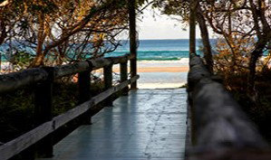Anchorage Beachfront Island Resort - Accommodation Georgetown 4