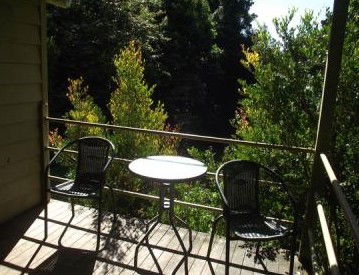 Fern Cottage - Holiday Home - Accommodation Georgetown 4