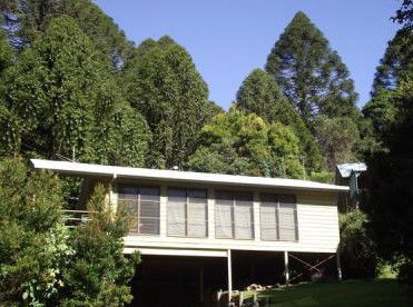 Fern Cottage - Holiday Home - Accommodation Georgetown 5