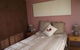 Meganville - Holiday Home - thumb 2