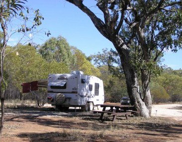 Myall Park Botanic Garden - Accommodation Georgetown 1