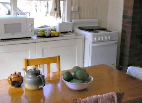 Myall Park Botanic Garden - Accommodation Georgetown 3