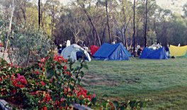 Possum Park - Accommodation Georgetown 1
