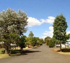 Toowoomba Motor Village - Accommodation Georgetown 5