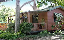 Lilyponds Holiday Park - Accommodation Georgetown 0