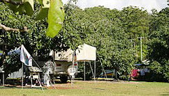 Lilyponds Holiday Park - Accommodation Georgetown 4