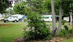 Lilyponds Holiday Park - Accommodation Georgetown 5