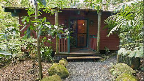 Springbrook Lyrebird Retreat - Accommodation Georgetown 0