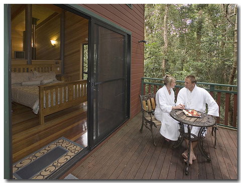 Springbrook Lyrebird Retreat - Accommodation Georgetown 1