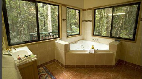 Springbrook Lyrebird Retreat - Accommodation Georgetown 2