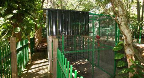Ashmore Palms Holiday Village - Accommodation Georgetown 3