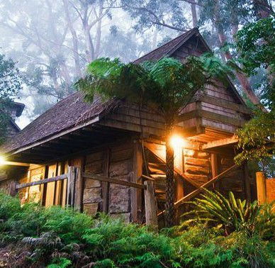Binna Burra Mountain Lodge - Accommodation Georgetown 2
