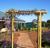 Lavendale Farmstay and Cottages - Accommodation Georgetown