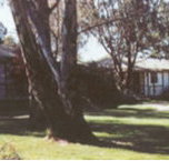 Winbi River Resort - Accommodation Georgetown