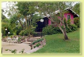 Jacaranda Cottage - Accommodation Georgetown 2