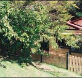 Apple Tree Cottage - Accommodation Georgetown