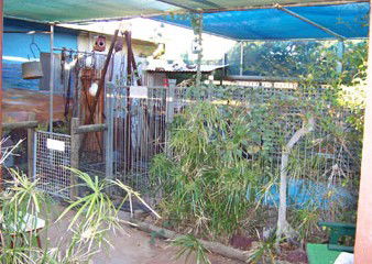 Safari Lodge Motel - Accommodation Georgetown 1