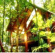 The Canopy Treehouses - Accommodation Georgetown