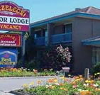Strzelecki Motor Lodge - Accommodation Georgetown