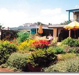 Best Western Applegum Inn Motel - Toowoomba - Accommodation Georgetown