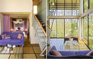 EcOasis - Accommodation Georgetown 1