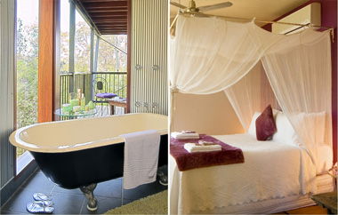 EcOasis - Accommodation Georgetown 2