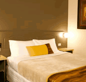 Best Western Lorne Coachman Inn - Accommodation Georgetown