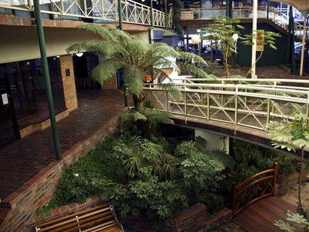 Mayfair Plaza Motel - Accommodation Georgetown 3