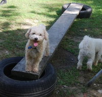 Beenleigh Pet Motel - Accommodation Georgetown