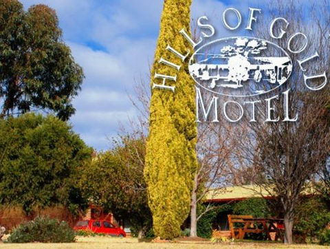 Hills Of Gold Motel - Accommodation Georgetown 3