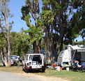 Elliston Caravan Park - Accommodation Georgetown