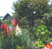 Hopfield Country Cottages - Accommodation Georgetown